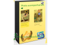 script-php-plataforma-acompanhantes-small-0
